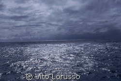 Colombia - Cartagena by Vito Lorusso 